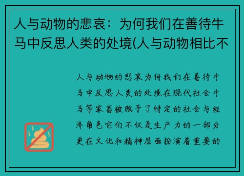 人与动物的悲哀：为何我们在善待牛马中反思人类的处境(人与动物相比不过是一架更精致更加复杂的机器)