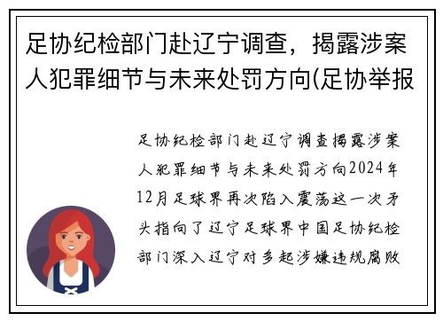 足协纪检部门赴辽宁调查，揭露涉案人犯罪细节与未来处罚方向(足协举报电话)